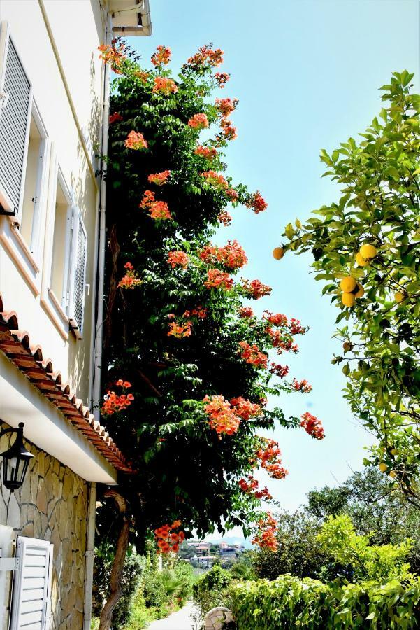 Villa Dionysios Keri 외부 사진